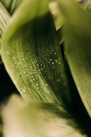 ARD Clinic gallery image